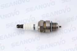 Свеча зажигания (2.5) E6RTC